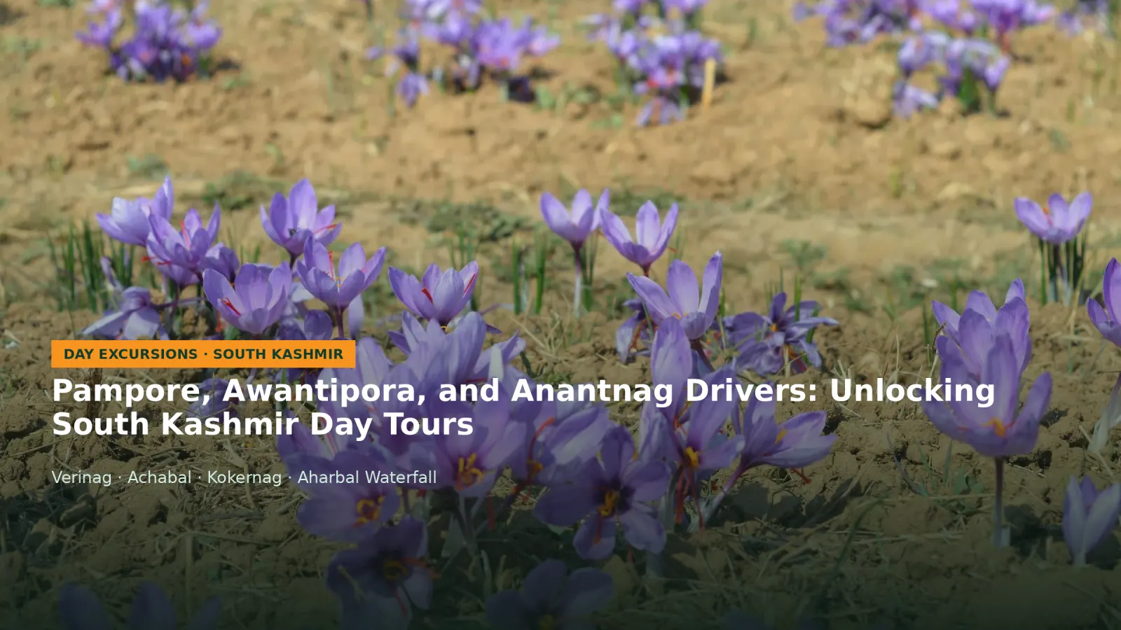 Pampore, Awantipora, and Anantnag Drivers: Unlocking South Kashmir Day Tours