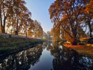 Chinar bagh