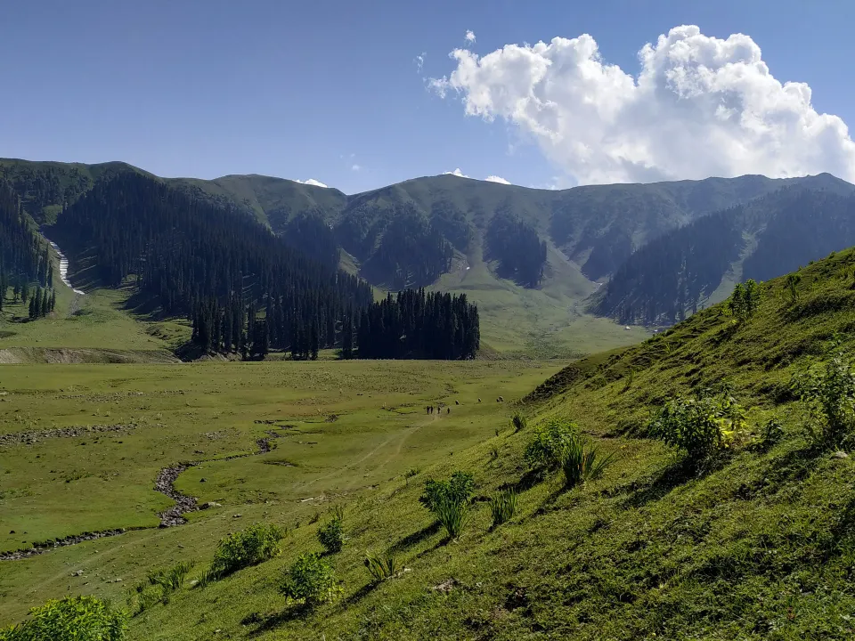 Bangus Valley