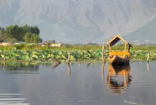 Empty shikara on Dal Lake, Srinagar, India 2013-08-23 (flickr 9967093983)