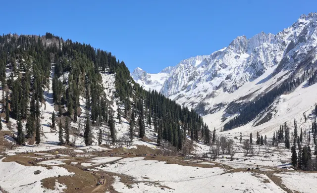Wooden cottage facing Thajiwas, Sonamarg