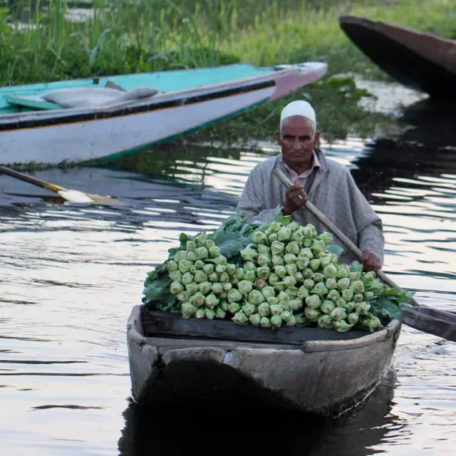 Sunrise ride to the floating market