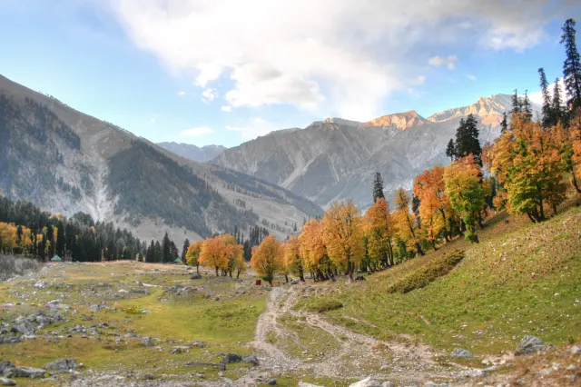 Wooden cottage facing Thajiwas, Sonamarg